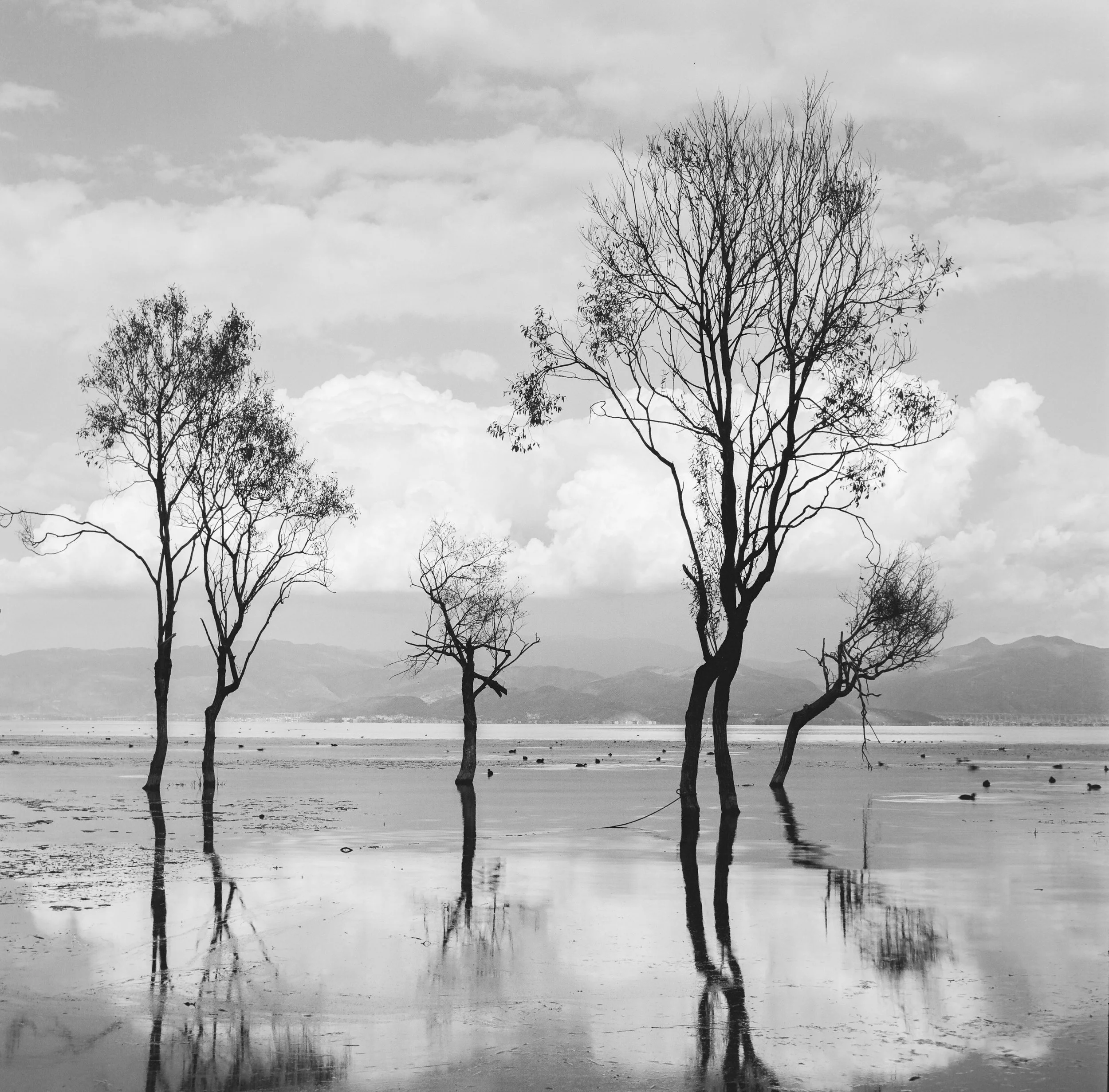 Erhai Lake, Dali, Yunnan, China, 2025