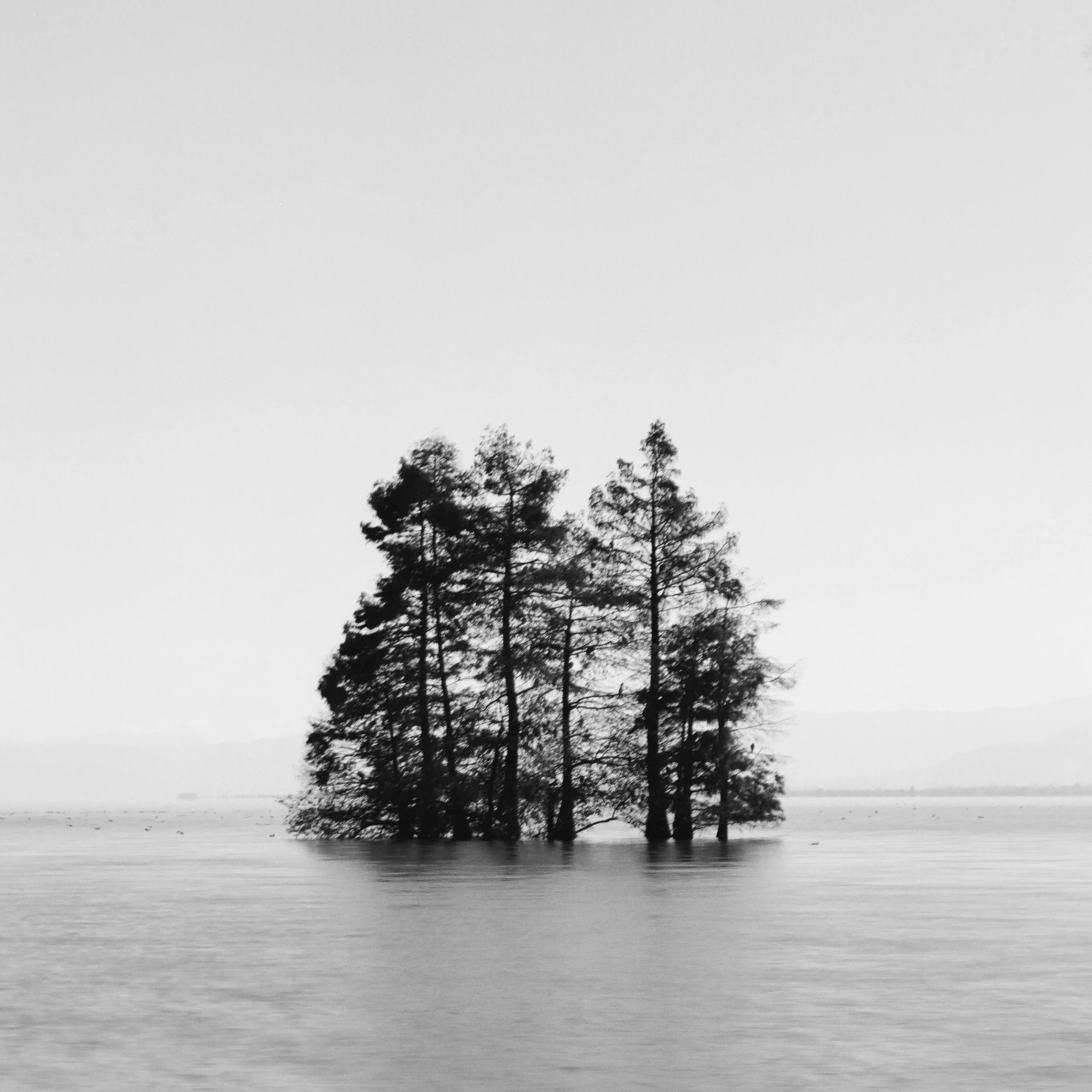 Erhai Lake, Dali, Yunnan, China, 2025