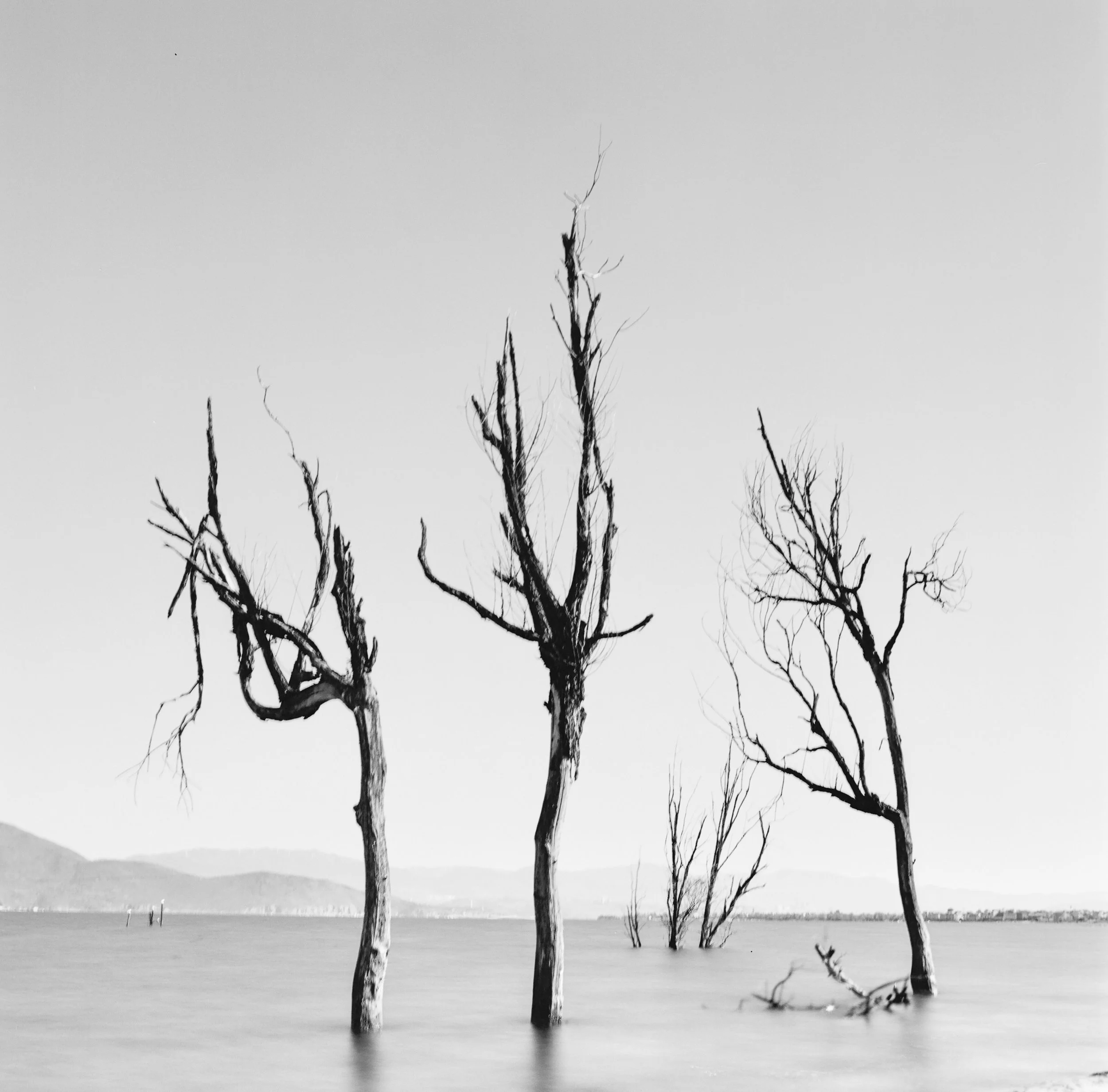 Erhai Lake, Dali, Yunnan, China, 2025