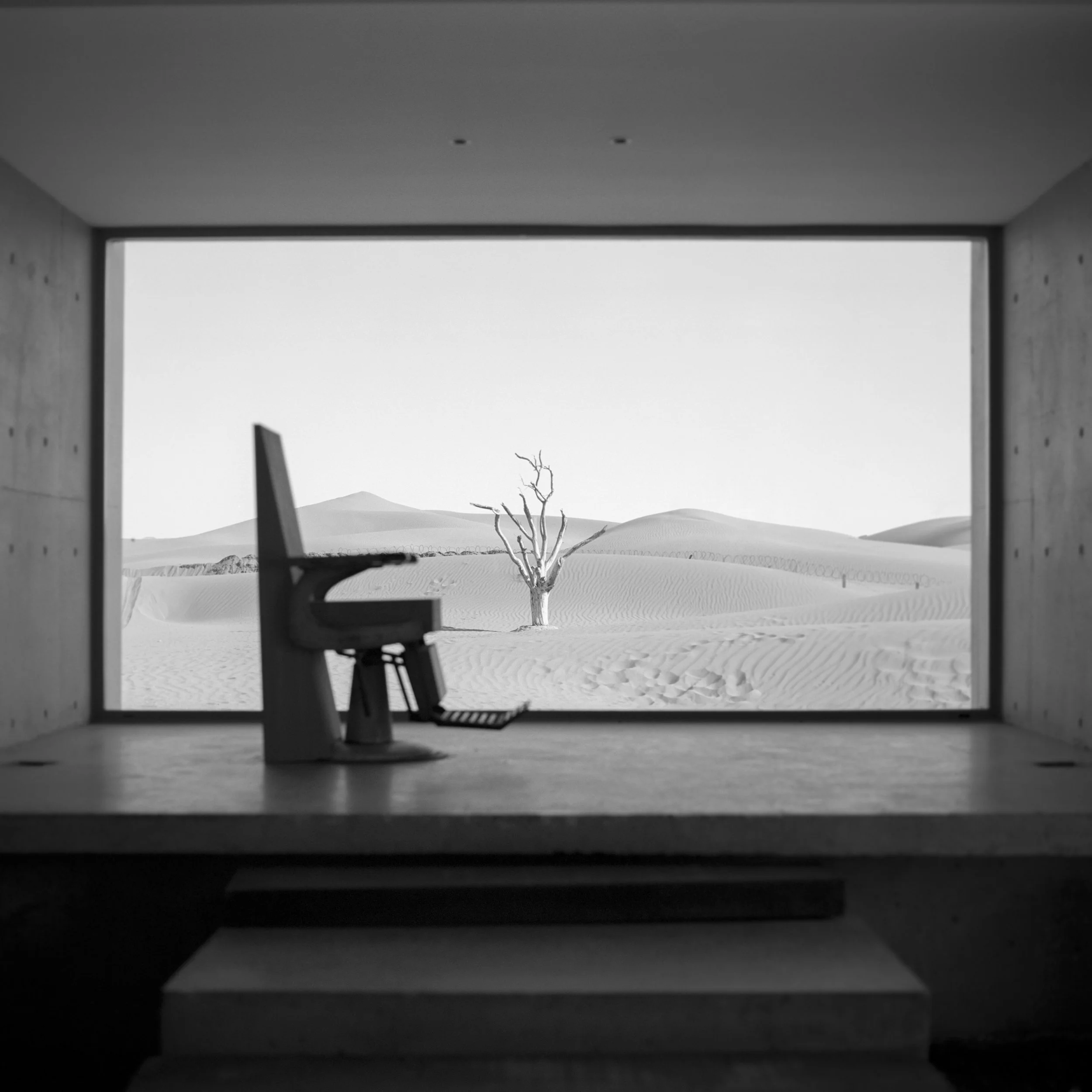Molian, Zhongwei, Ningxia, China, 2026