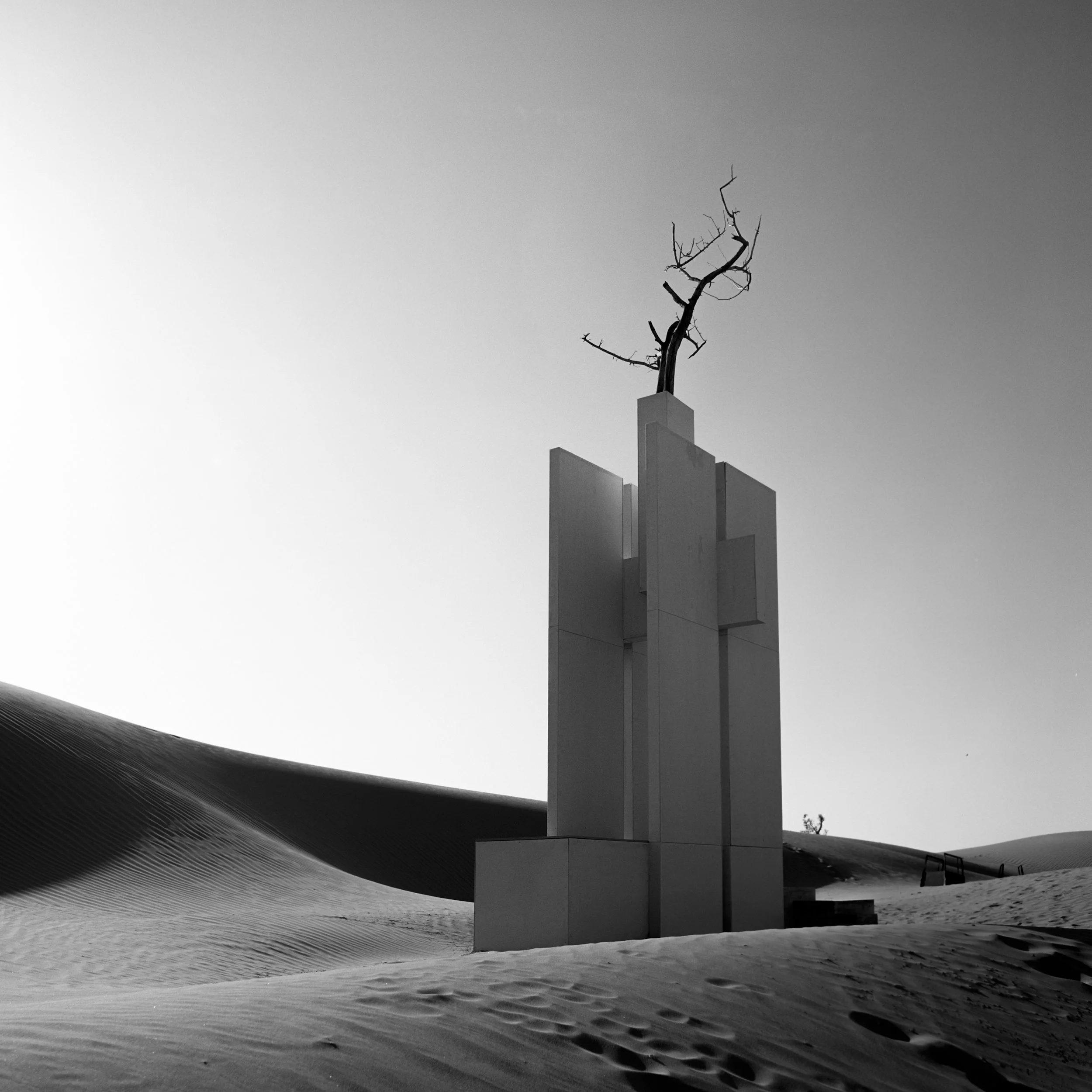 Molian, Zhongwei, Ningxia, China, 2026