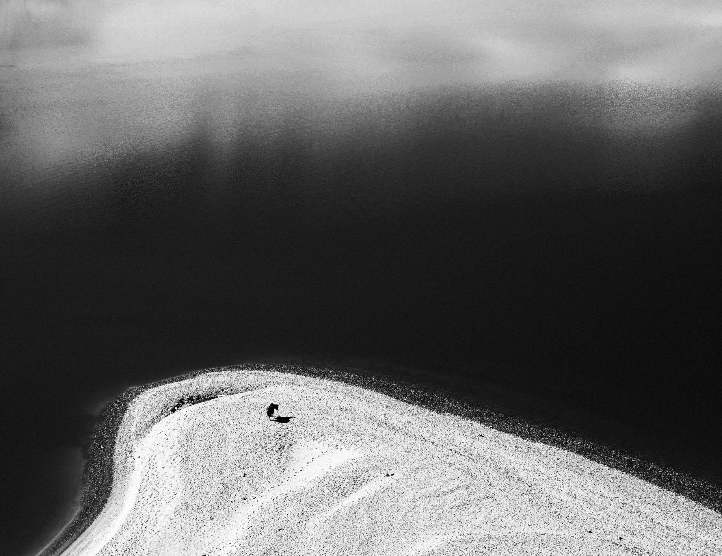 A7M03019m-bw2.JPG