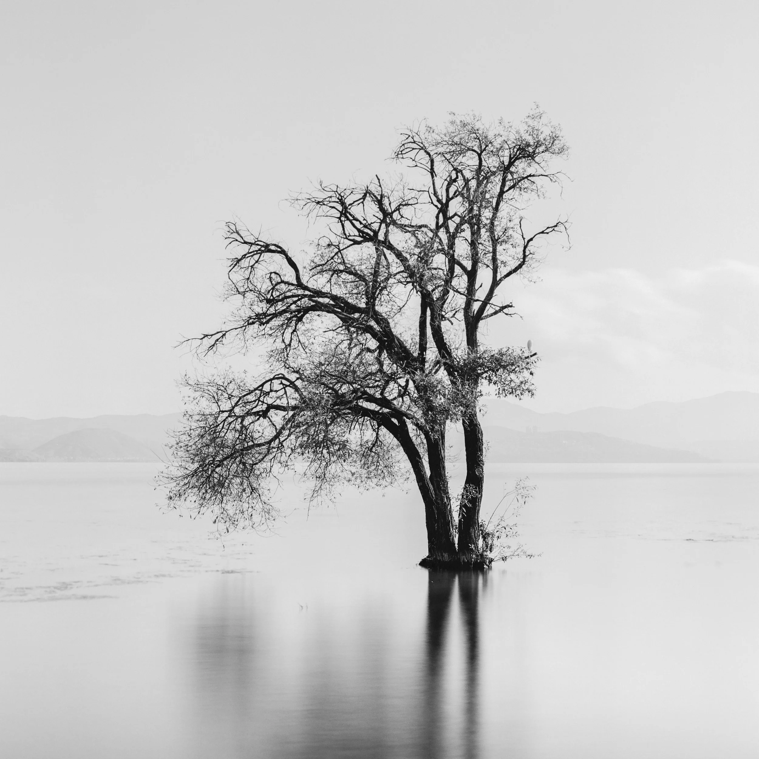 Erhai Lake, Dali, Yunnan, China, 2025