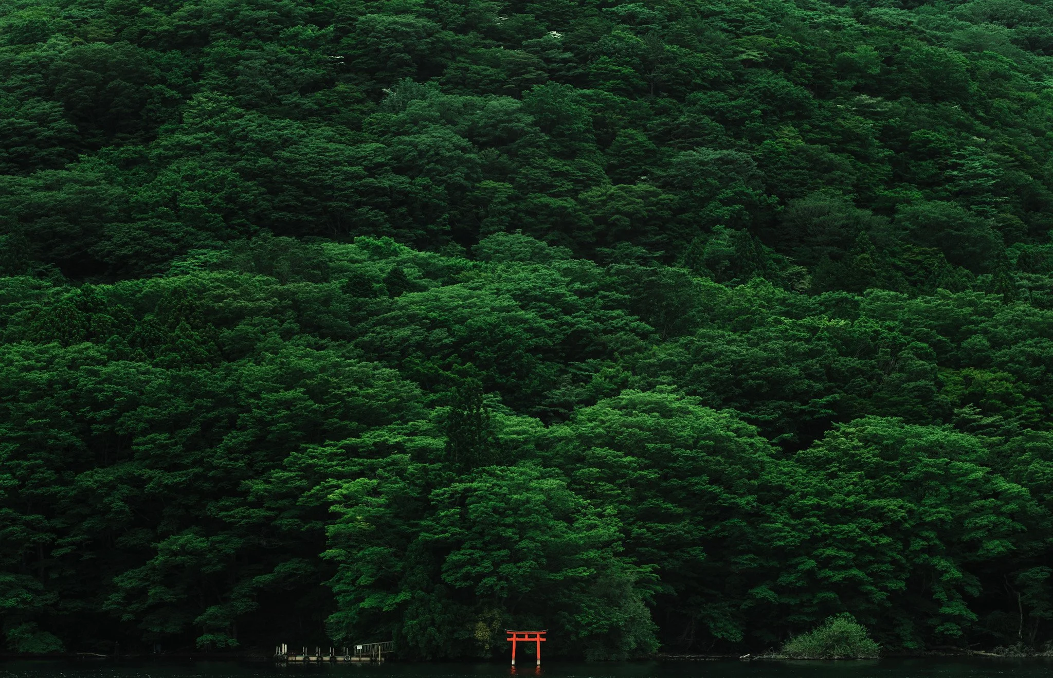 Hakone, Japan, 2019