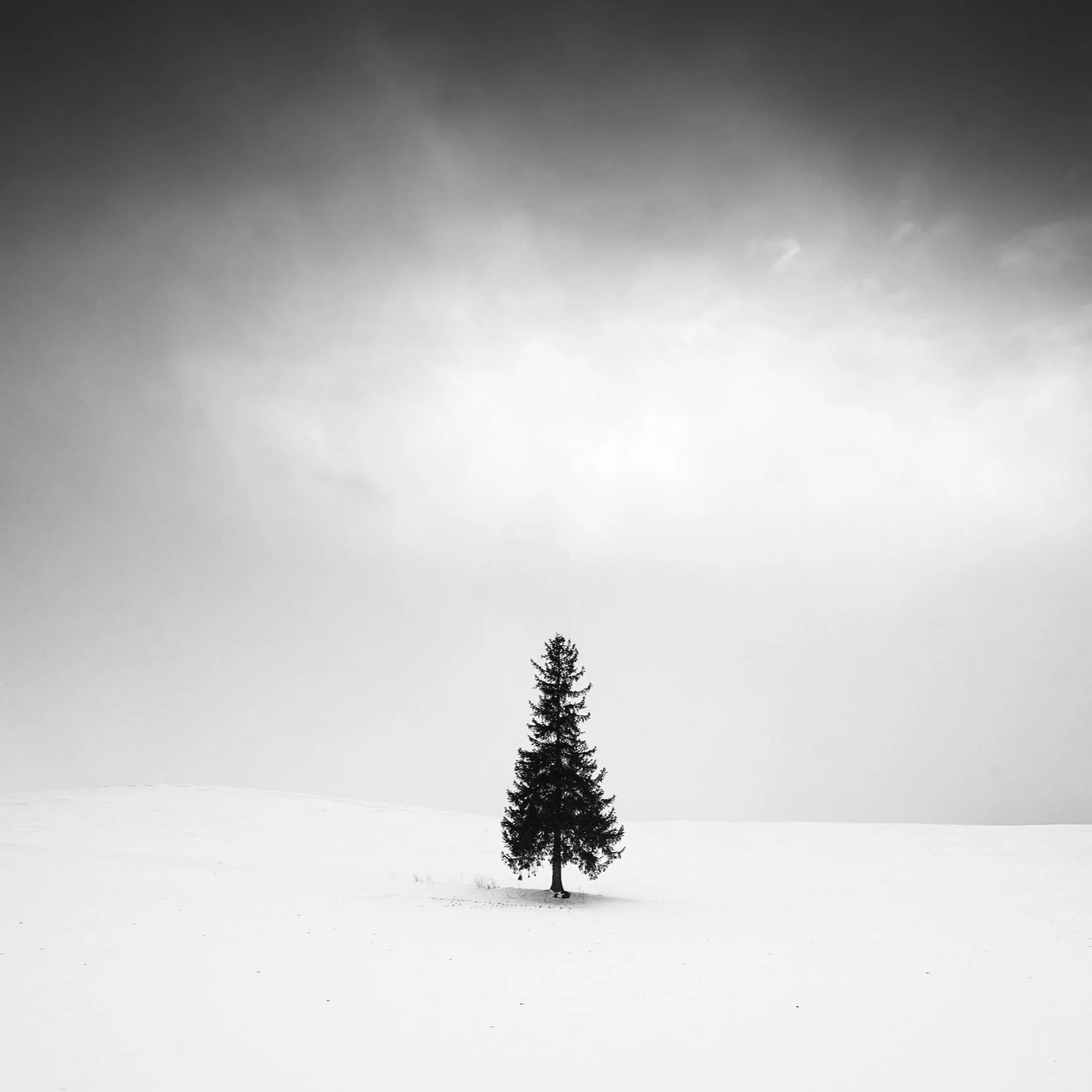Hokkaido 2020