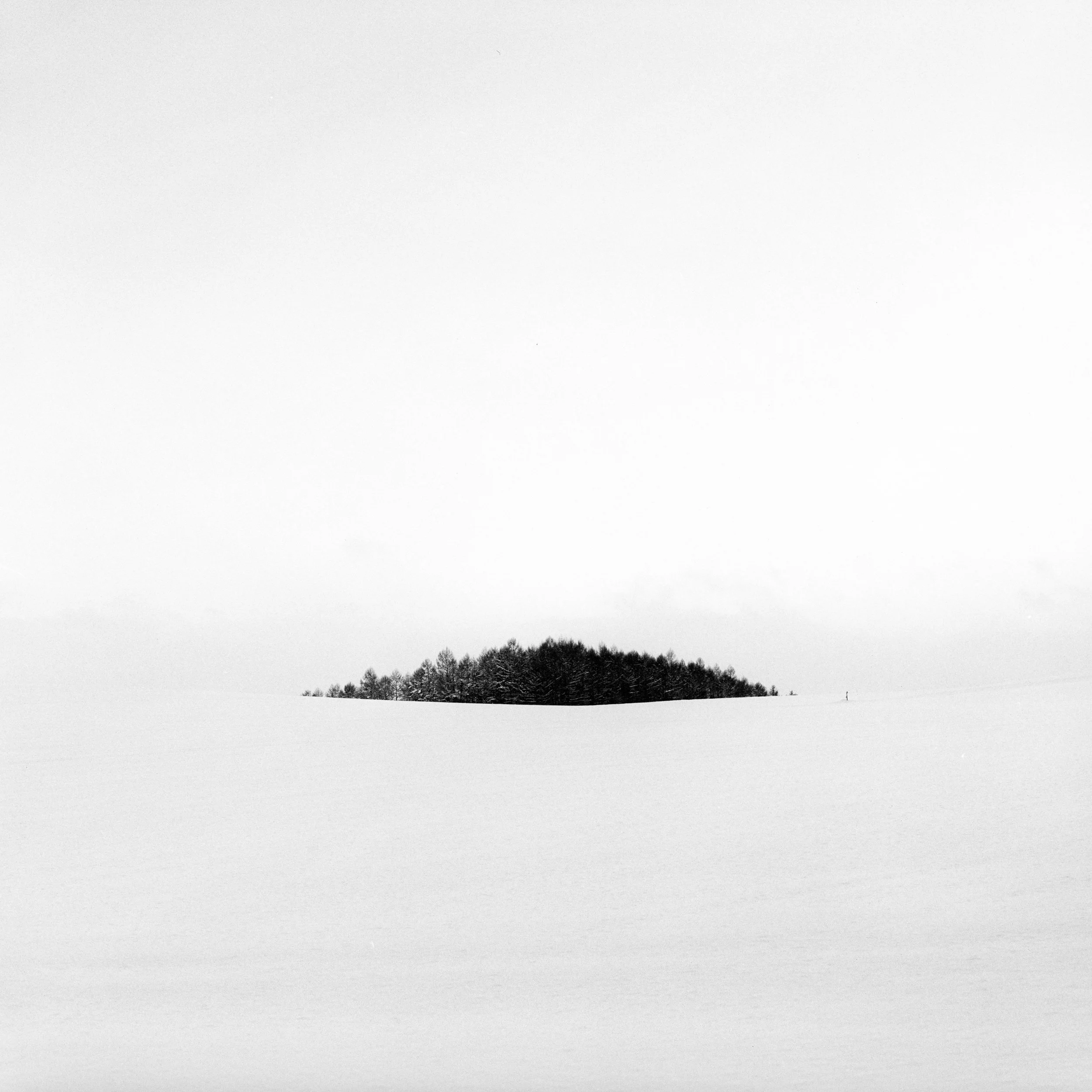 Biei, Hokkaido, Japan, 2025