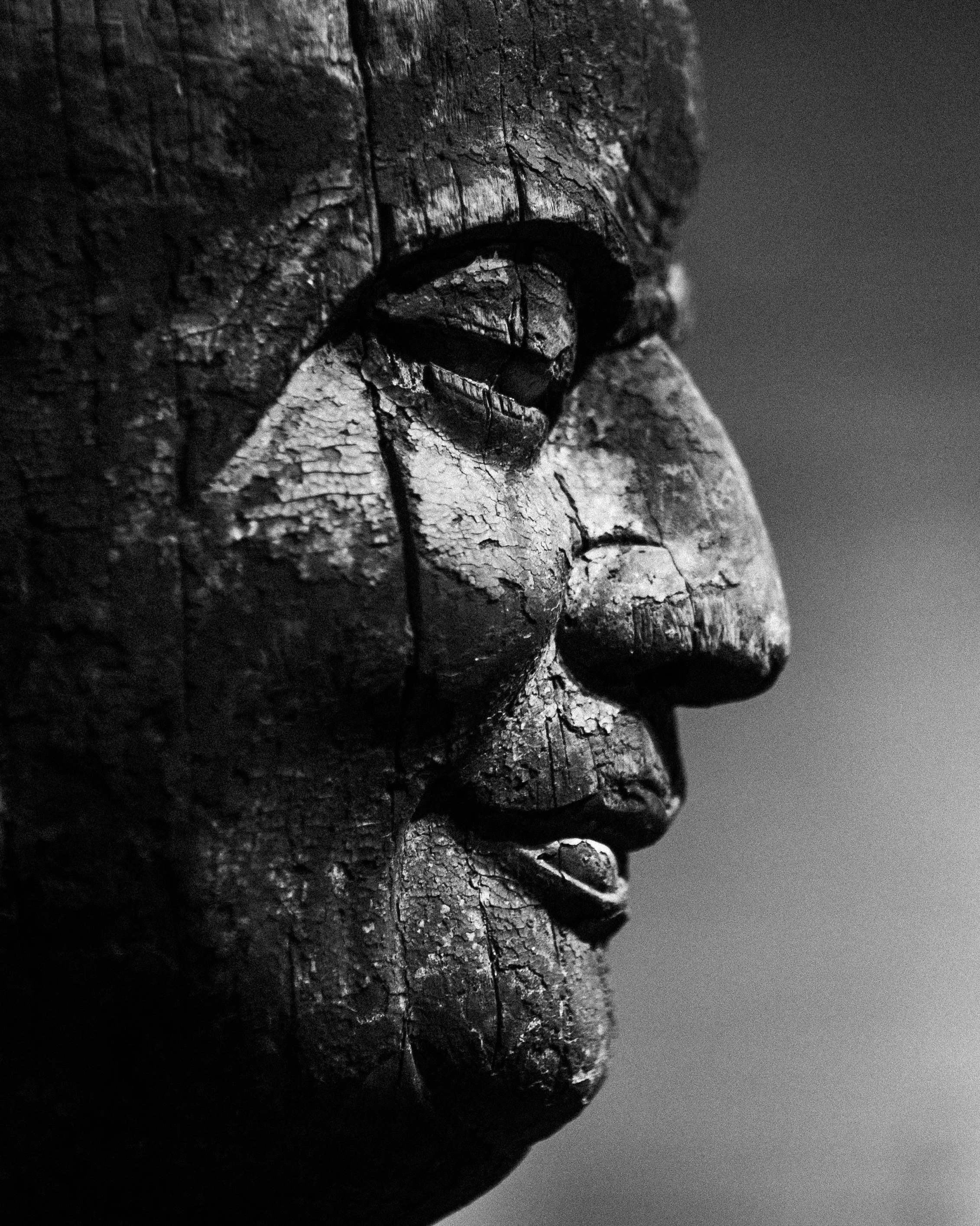 Kāśyapa, Tang, Shanghai Museum, China, 2024