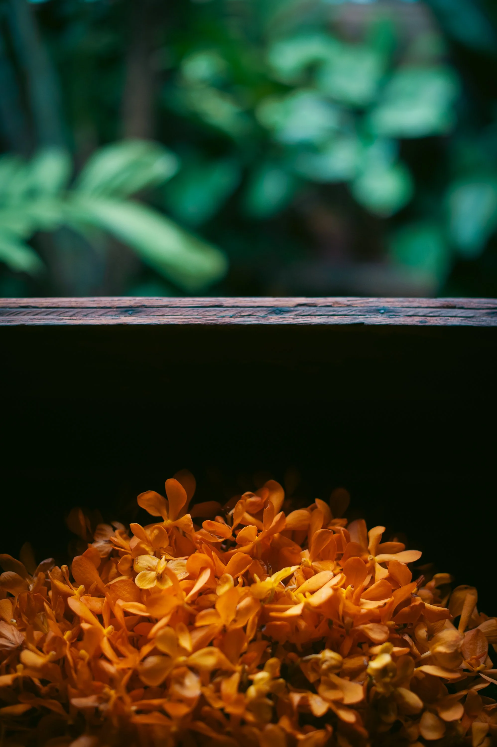 Jim Thompson House, Bangkok, Thailand, 2025