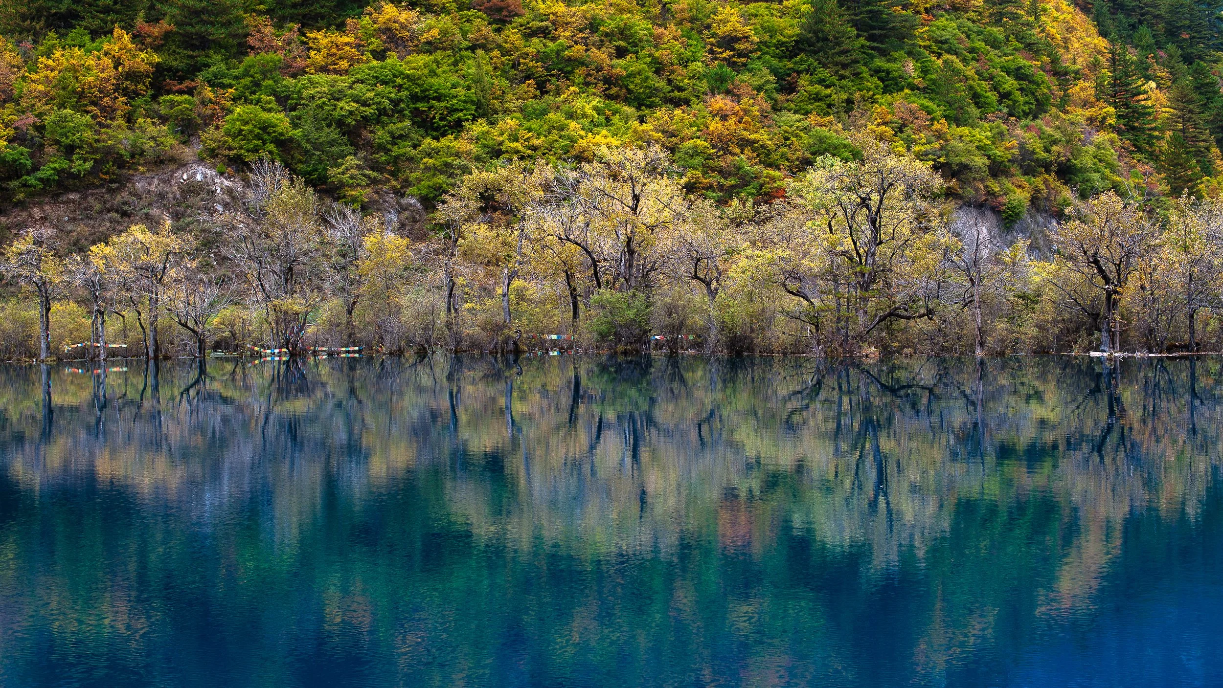 Jiuzhai Valley, China, 2011